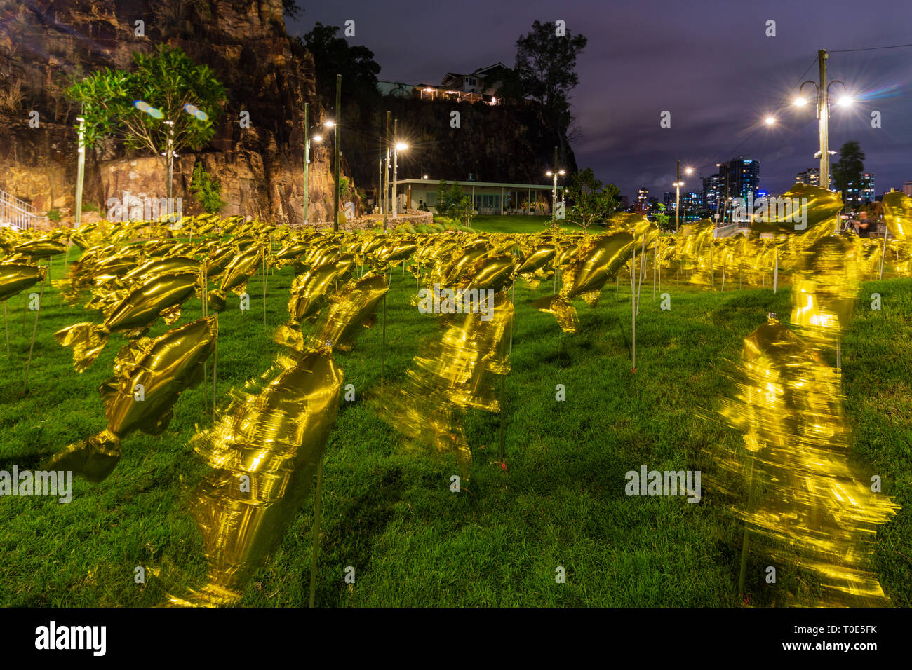 Fisch Ballons auf dem Gras an Howard Smith Wharf, in Brisbane Queensland Australien. Stockfoto