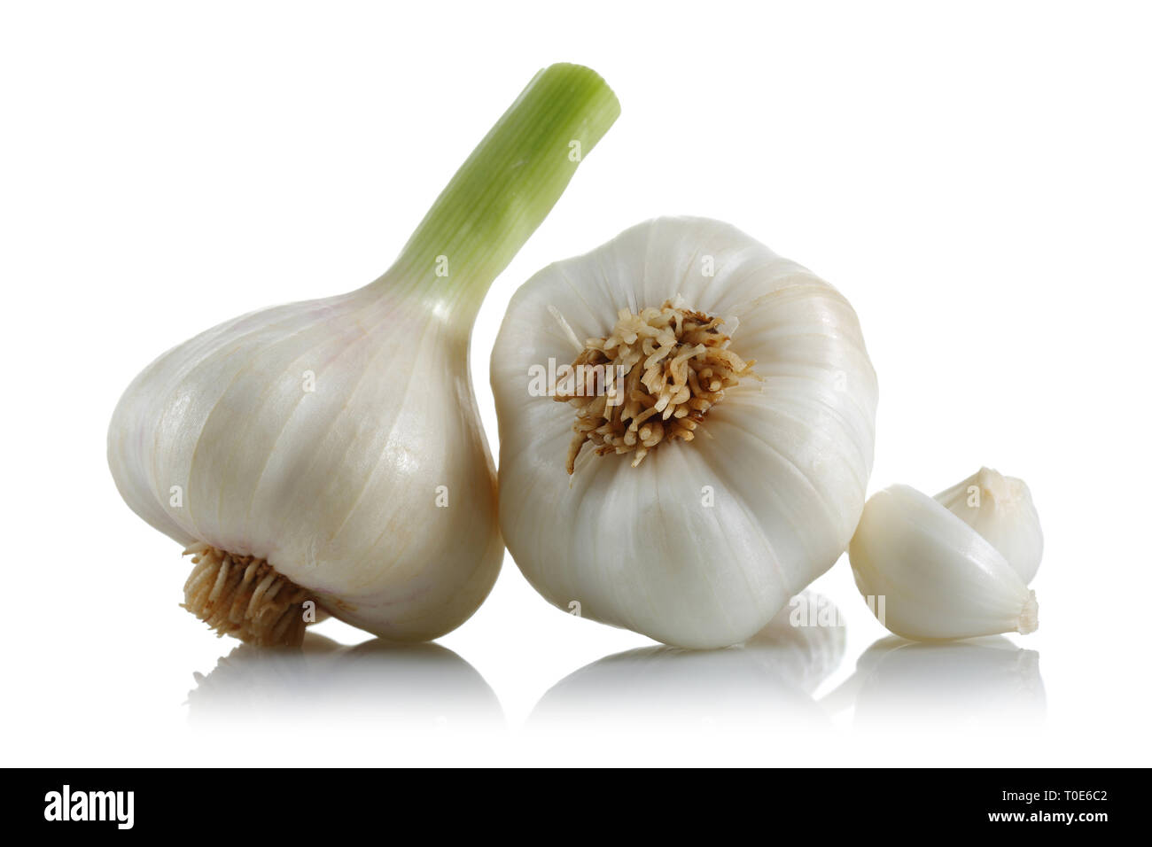 Frischer Knoblauch Zwiebel und Knoblauchzehe auf weißem Hintergrund Stockfoto