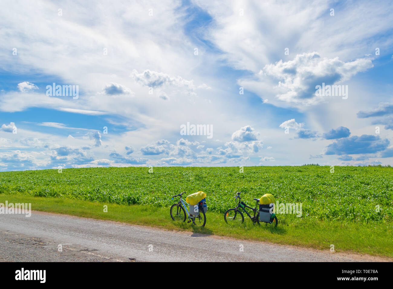 Schöne Landschaft mit einem grünen Feld und einem schönen blauen Himmel mit Wolken, zwei Fahrräder auf der Seite der Straße auf einem Halt Stockfoto