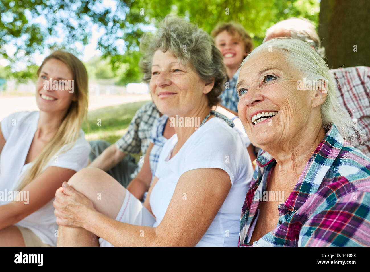 Glückliche Großfamilie mit den Großeltern und Enkel zusammen im Sommer im Park Stockfoto