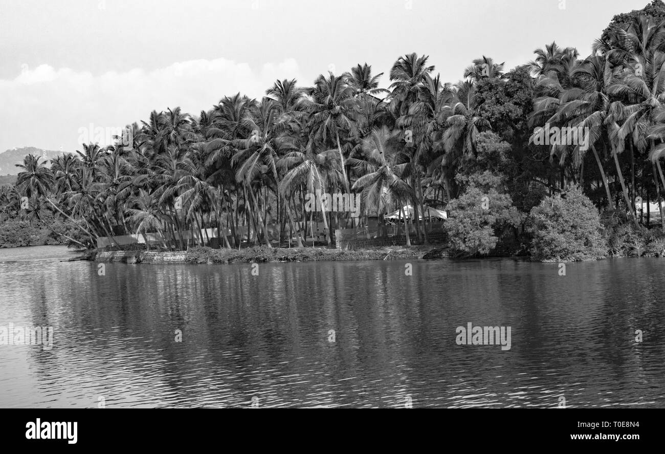 Natürliche Landschaft aus Palmen neben Backwaters in Dorf an der Küste von Südindien, in Schwarz und Weiß, ein typisches Geographie Südasiens Stockfoto