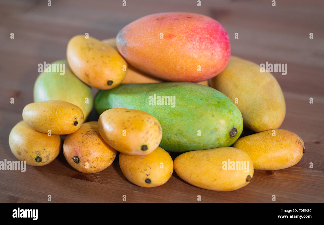 Stapel von mehreren Sorten von Mangos in verschiedenen Größen und Farben. Stockfoto