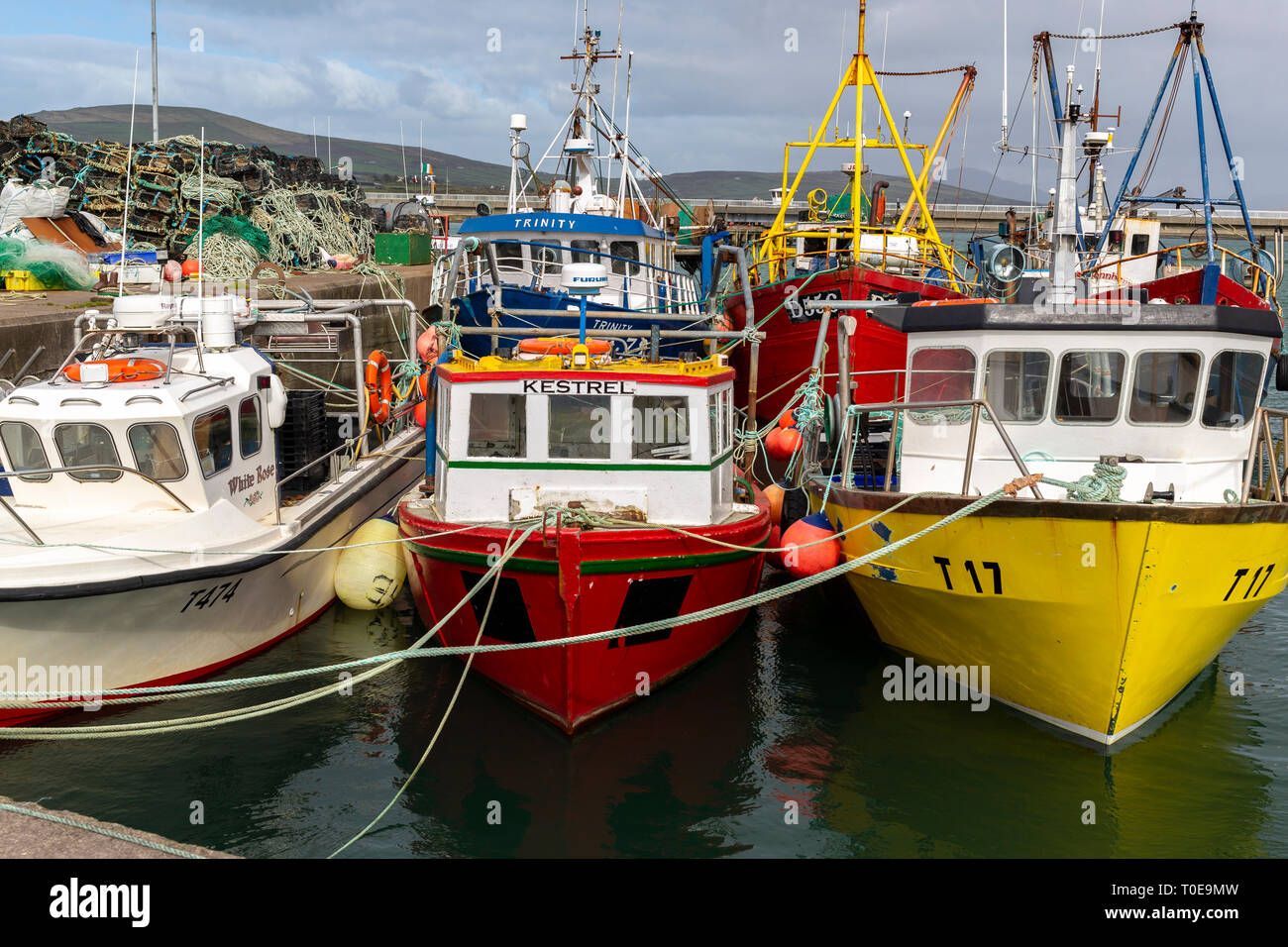 Fischerboote im Hafen von Portmagee, County Kerry, Irland Stockfoto