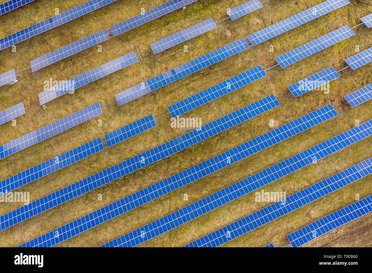 Antenne drone Ansicht von Solarzellen zu einem Solar energy Farm. Vilnius county, Litauen Stockfoto