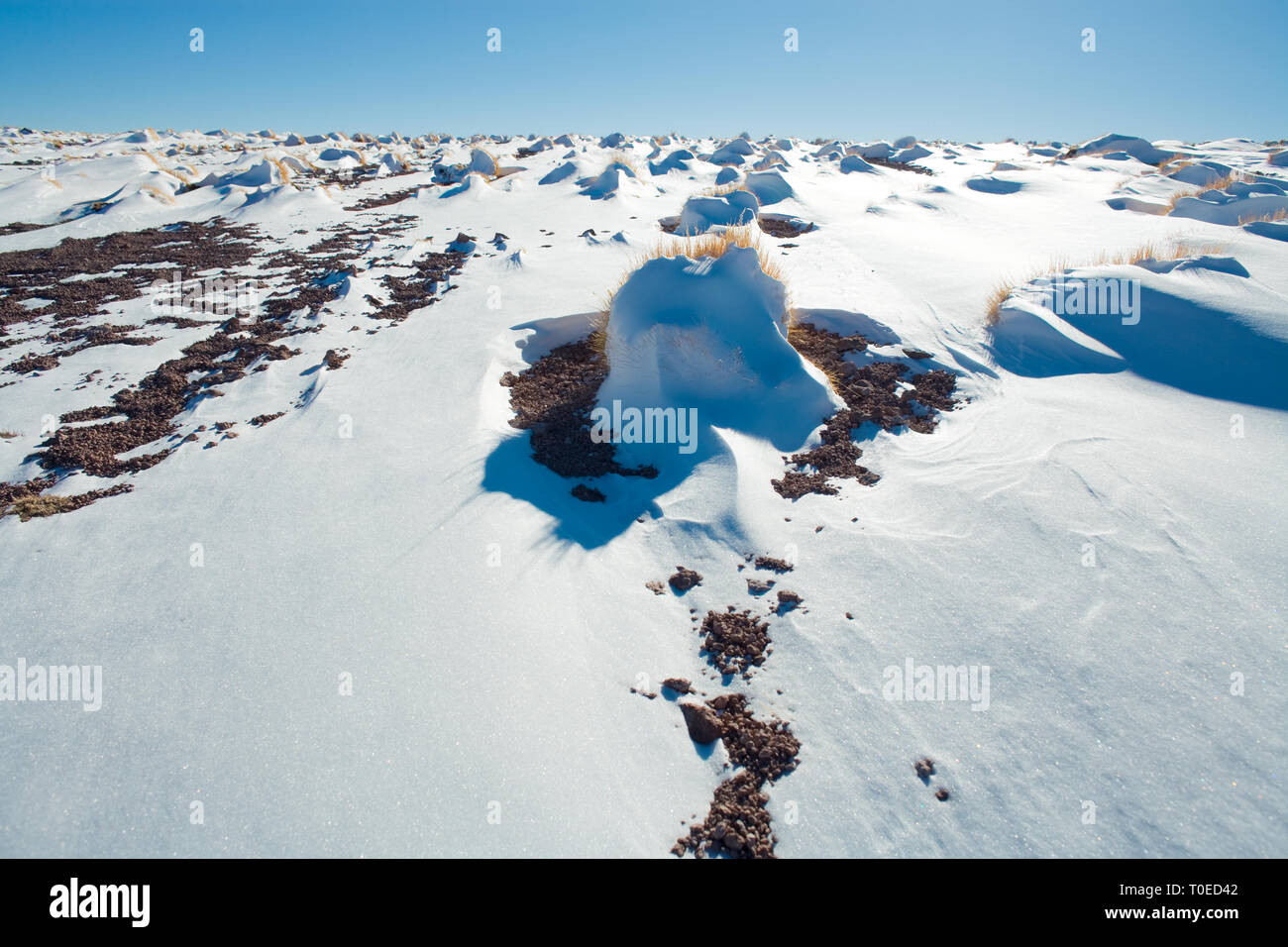 Schnee in den Anden Altiplano (Hochebene), Los Flamencos National Reserve, Atacama-wüste, Antofagasta Region, Chile, Südamerika Stockfoto