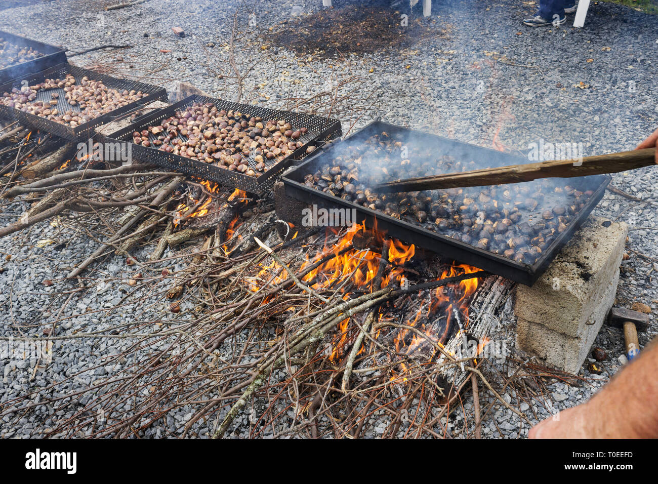 Rauch kommt aus der Vermischung der Röstung Kastanien auf dem brennenden Fächern. Leivadi jährliche Kastanien rösten, Griechenland Stockfoto