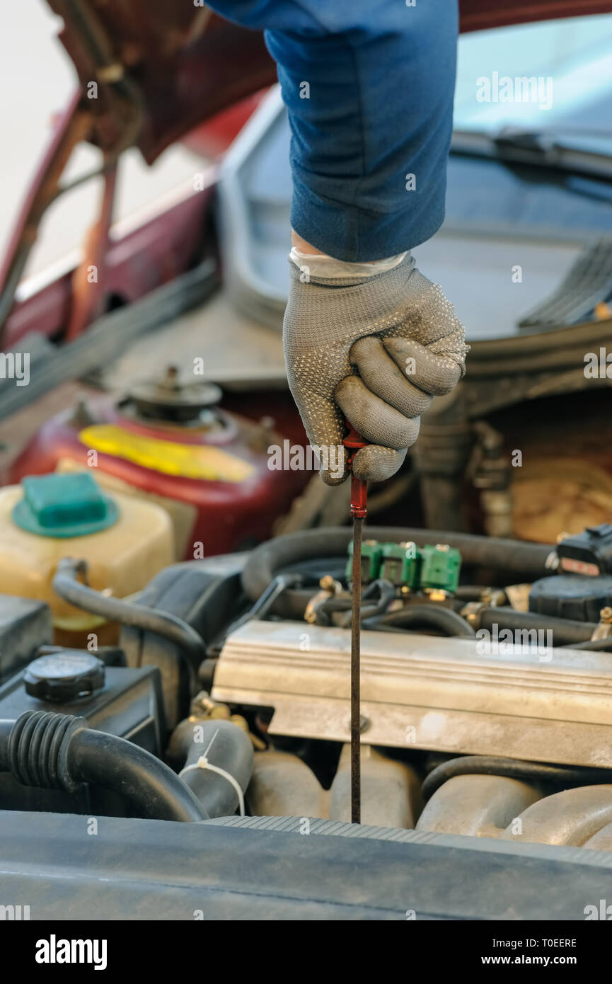 Motoröl wechseln und mit dem Messstab am alten schmutzigen Auto mit Flüssiggas system Stockfoto