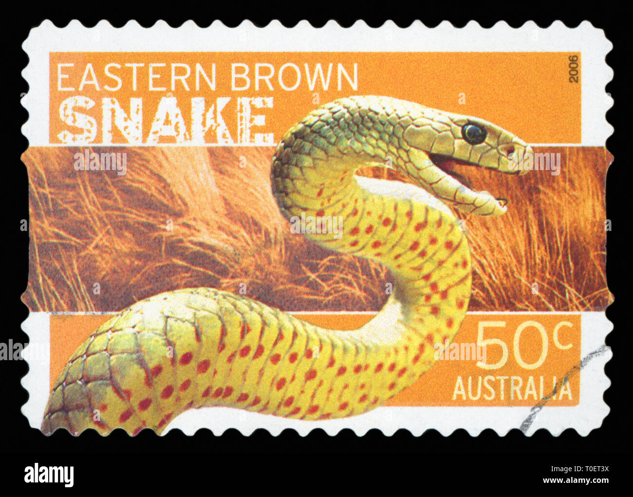 Australien - ca. 2006: einen Stempel in Australien gedruckten zeigt die Eastern Brown Snake, Serie, ca. 2006. Stockfoto