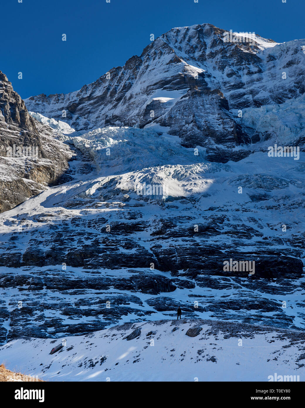 In der Region Jungfrau Unplugged. Wandern in den Fuß der mächtigen Eiger Gletscher. Eine kleine menschliche Figur, die Skala. Stockfoto