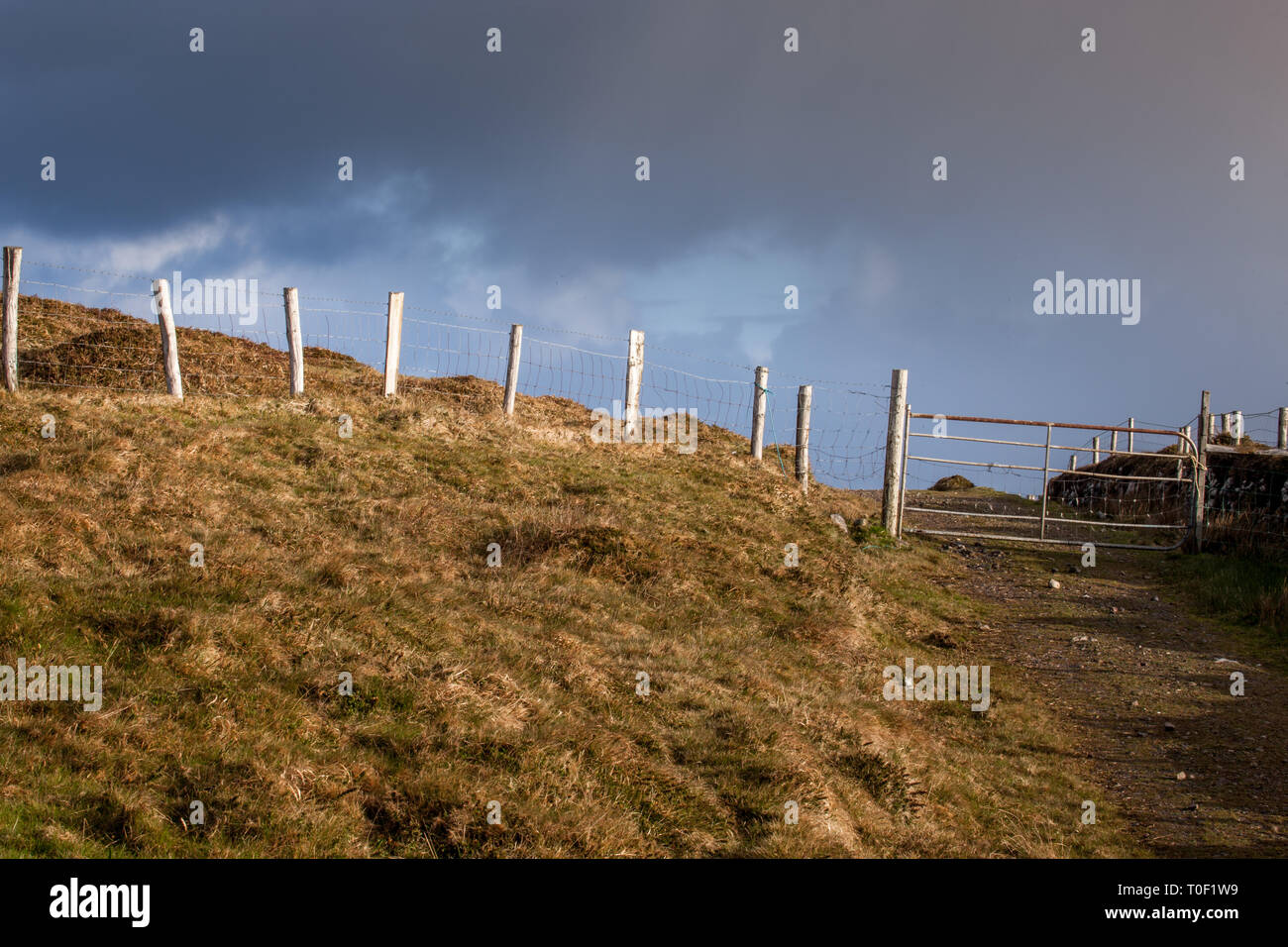 Dursey Island, Cork, Irland. 29. April 2015. Ein Tor auf dursey Island, Co Cork, Irland Stockfoto