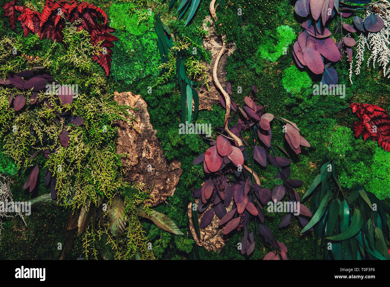 Wand des grünen geblümten Moos mit verschiedenen farbigen Blätter, close-up. Stockfoto