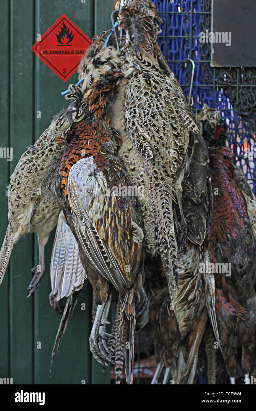 Federwild am Borough Market in London. Stockfoto