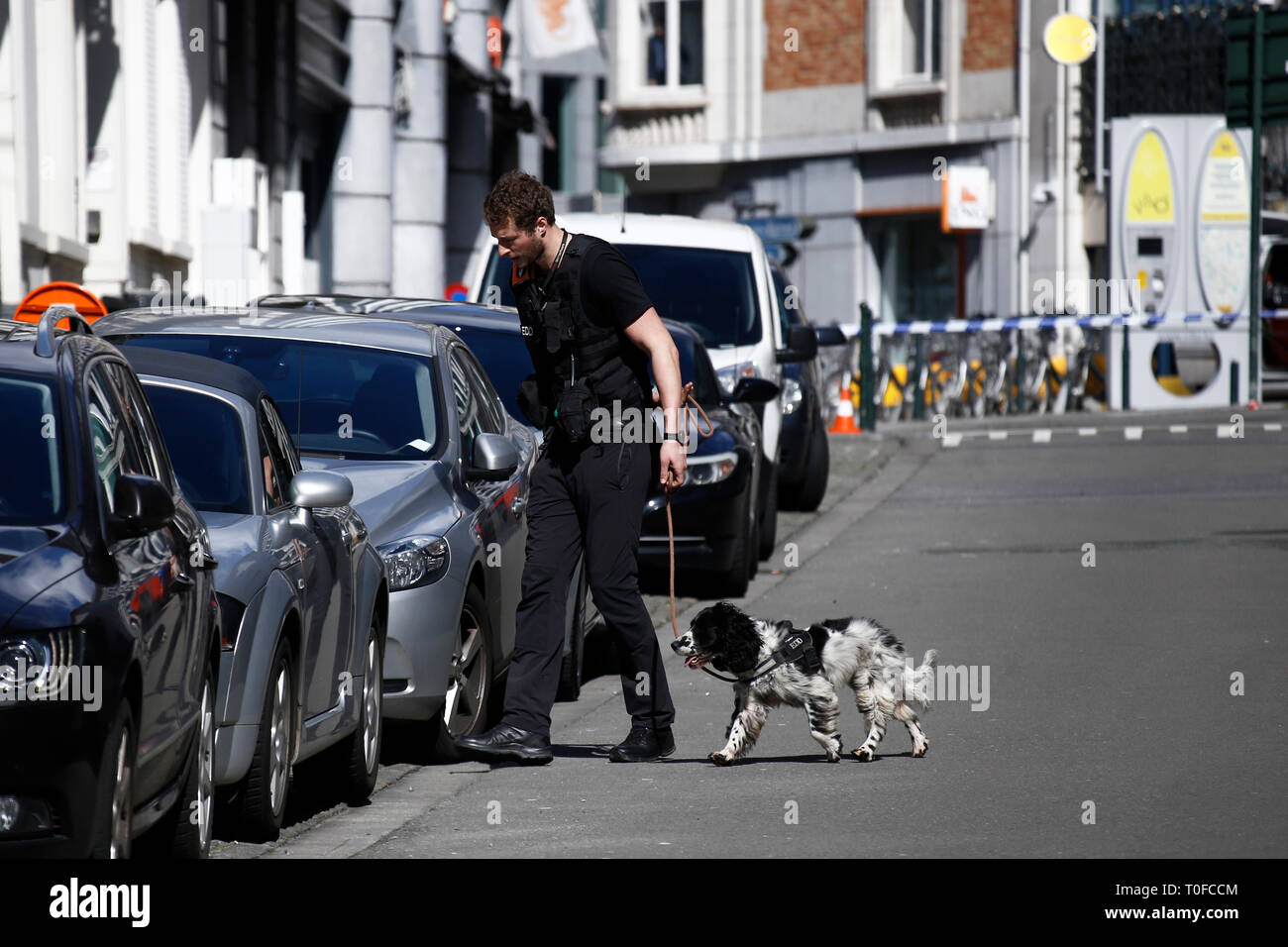 Brüssel, Belgien. 19. März 2019. Ein Polizist mit einem Sniffer hund Suche um ein Fahrzeug während einer Bombendrohung in einem Gebäude in der Nähe der europäischen Institutionen. Credit: ALEXANDROS MICHAILIDIS/Alamy leben Nachrichten Stockfoto