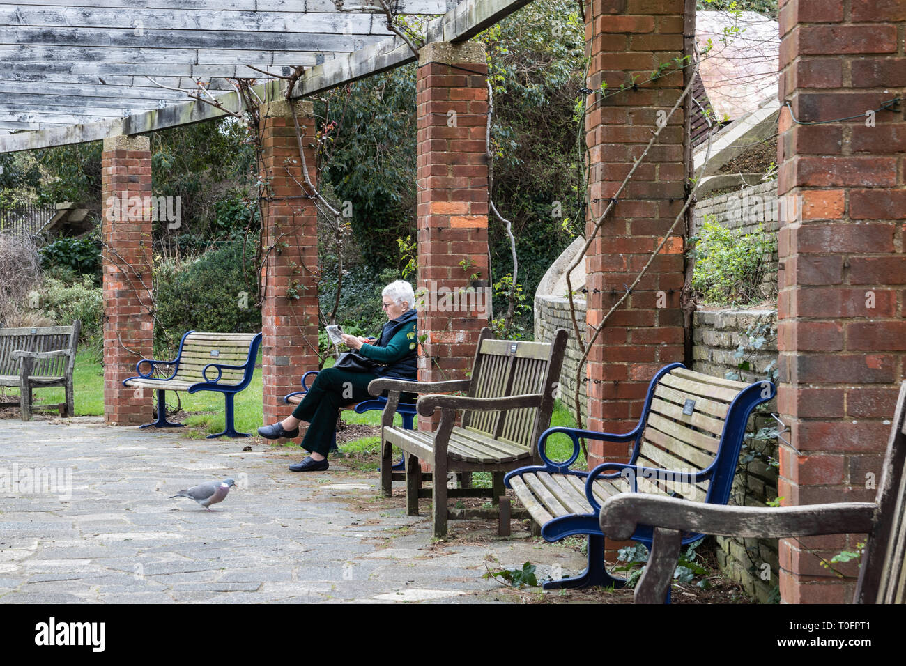 Ältere Dame saß auf einer Parkbank die Morgenzeitung lesen, Portsmouth, Großbritannien Stockfoto