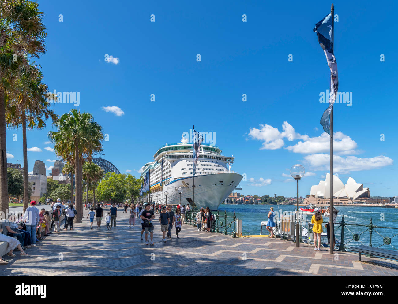 Circular Quay, Sydney. Explorer of the Seas Kreuzfahrtschiff mit der Sydney Harbour Bridge auf der linken und der Sydney Opera House, Sydney, Australien Stockfoto