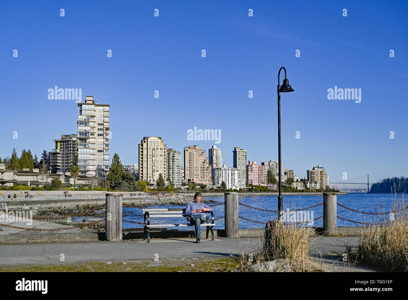 Junger Mann auf einer Parkbank, Dundarave Pier, West Vancouver, British Columbia, Kanada Stockfoto