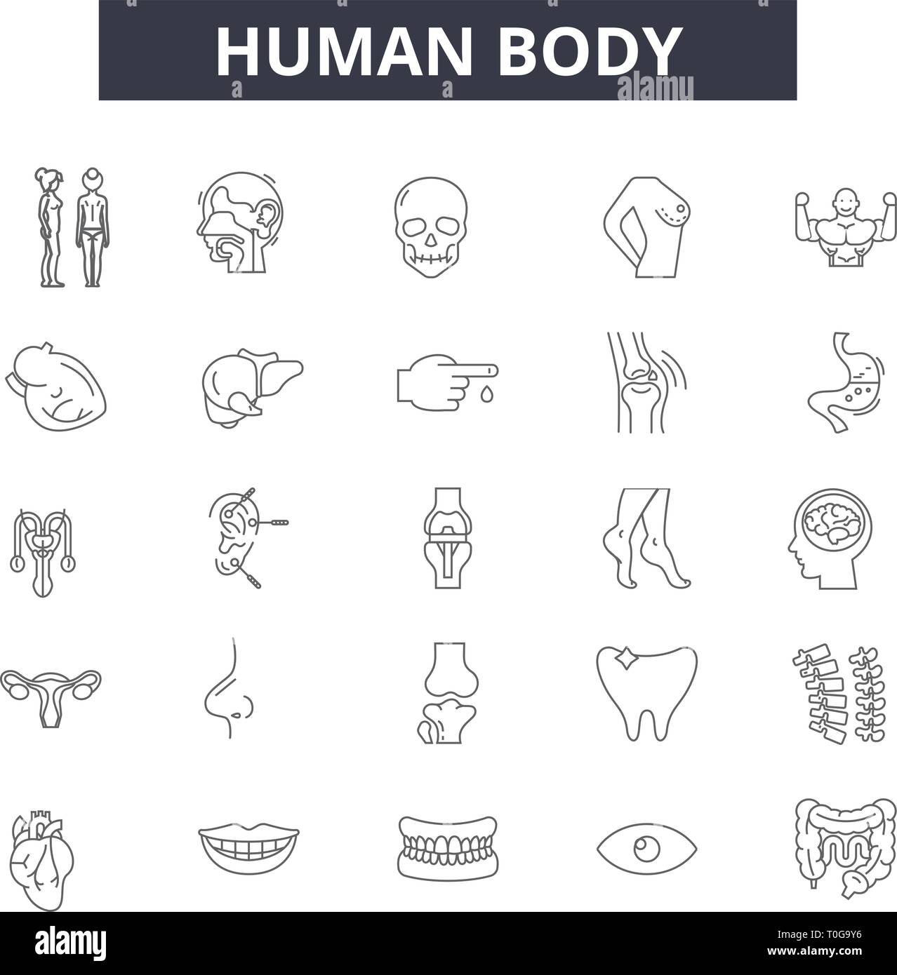 Menschliche Körper Zeile für Symbole für web und mobile. Editierbare Schlaganfall Anzeichen. Menschliche Körper Entwurfskonzept Abbildungen Stock Vektor