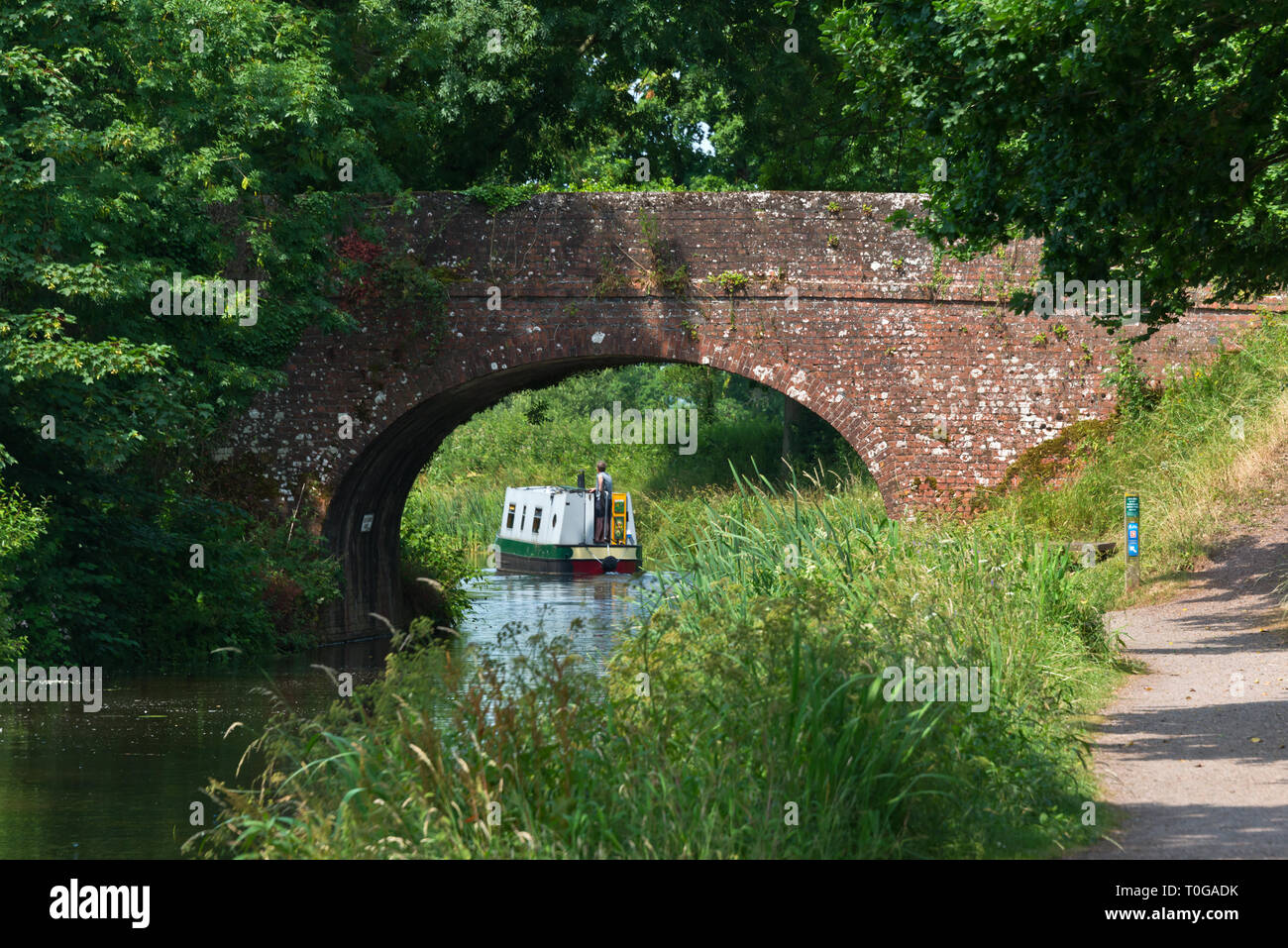 Kanal Boot auf dem Weg nach Osten Manley Brücke auf der Grand Western Canal in Devon, England an einem hellen Sommertag Stockfoto