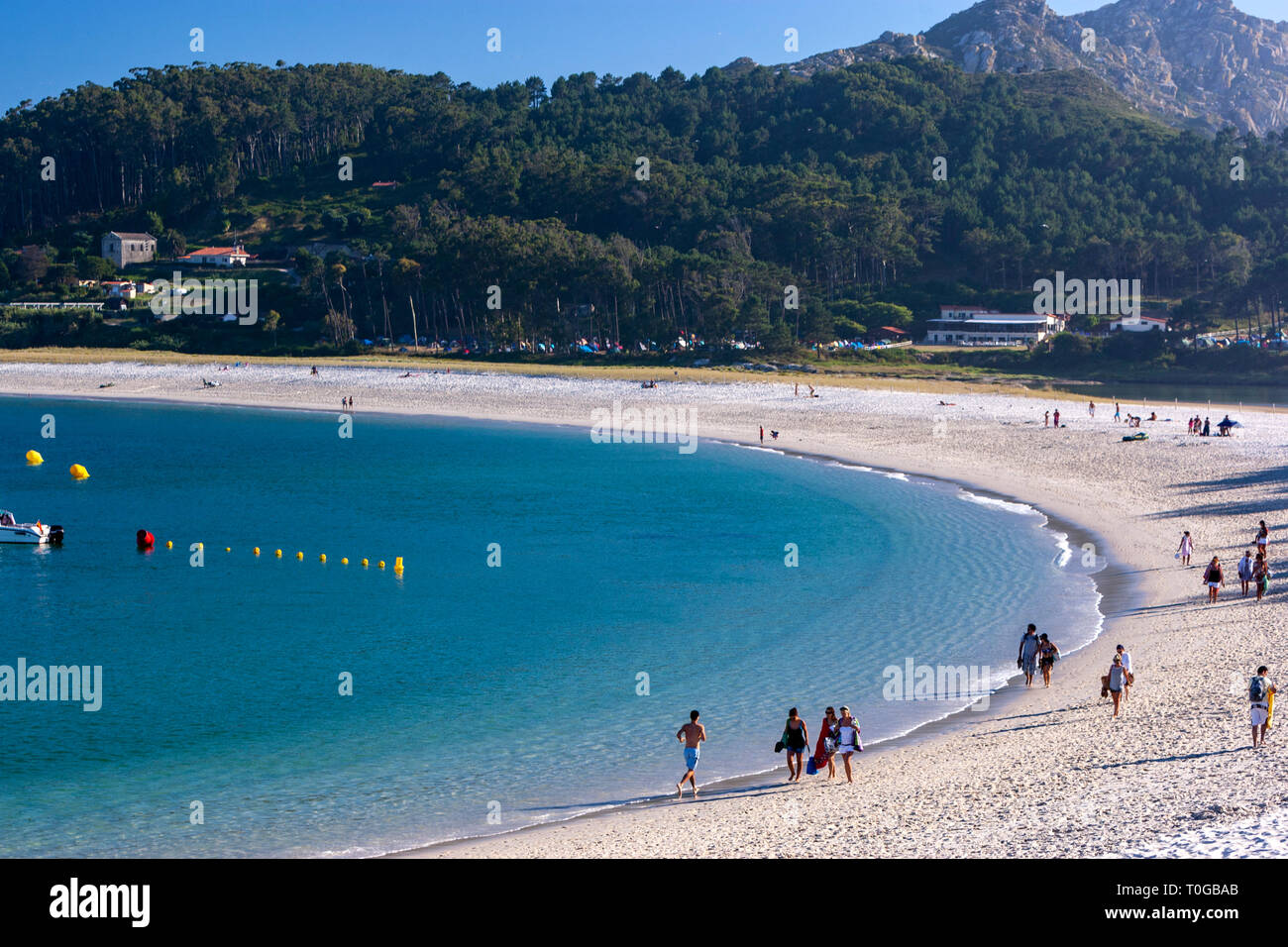 Playa de Rodas, malerischen Crescent mit feinem weißen Sand, türkisfarbenes Wasser unterstützt durch Dünen und Pinien, Cies Inseln, Ria de Vigo, Spanien Stockfoto