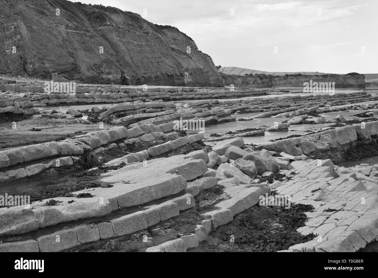 Die freiliegenden Simsen und Gesteinsschichten entlang der Küste auf den Bristol Channel Küste bei Kilve in Somerset UK bei Ebbe Stockfoto