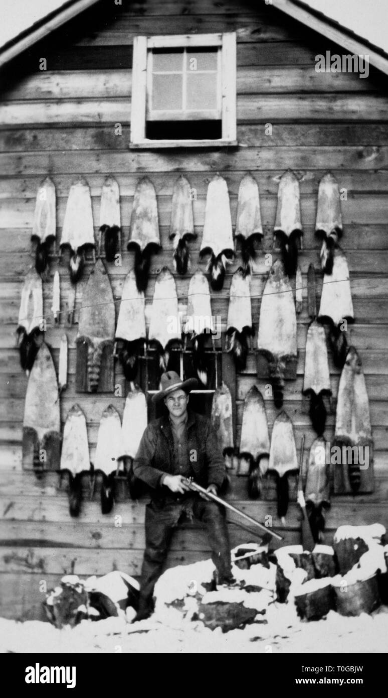 Ein Jäger stellt mit einer riesigen Sammlung von Pelzen auf der Seite einer Scheune aufgehängt, Ca. 1930. Stockfoto