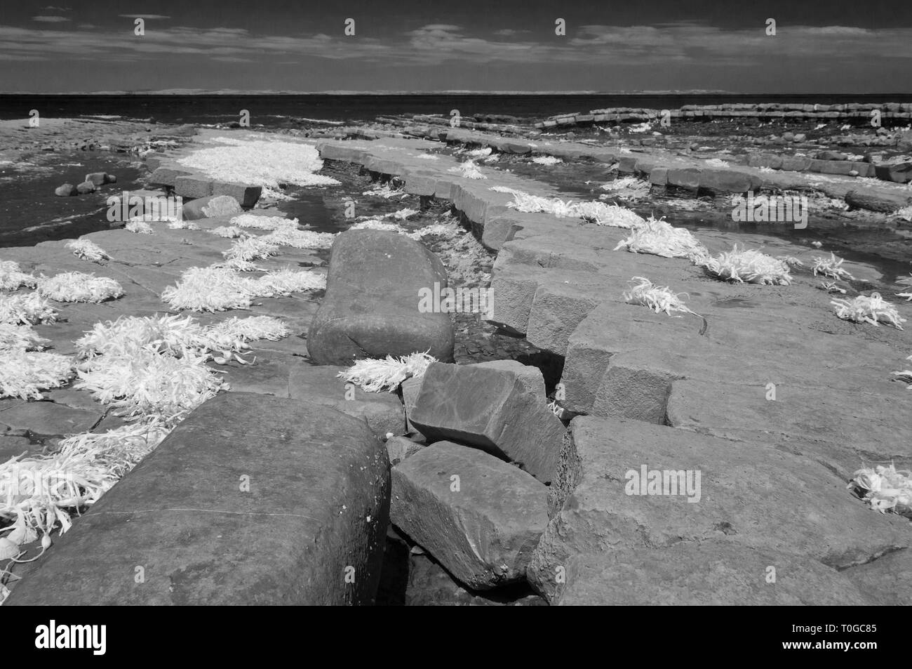 Infrarot Bild des freigelegten Gesteinsschichten entlang der Küste auf den Bristol Channel Küste bei Kilve in Somerset UK bei Ebbe Stockfoto