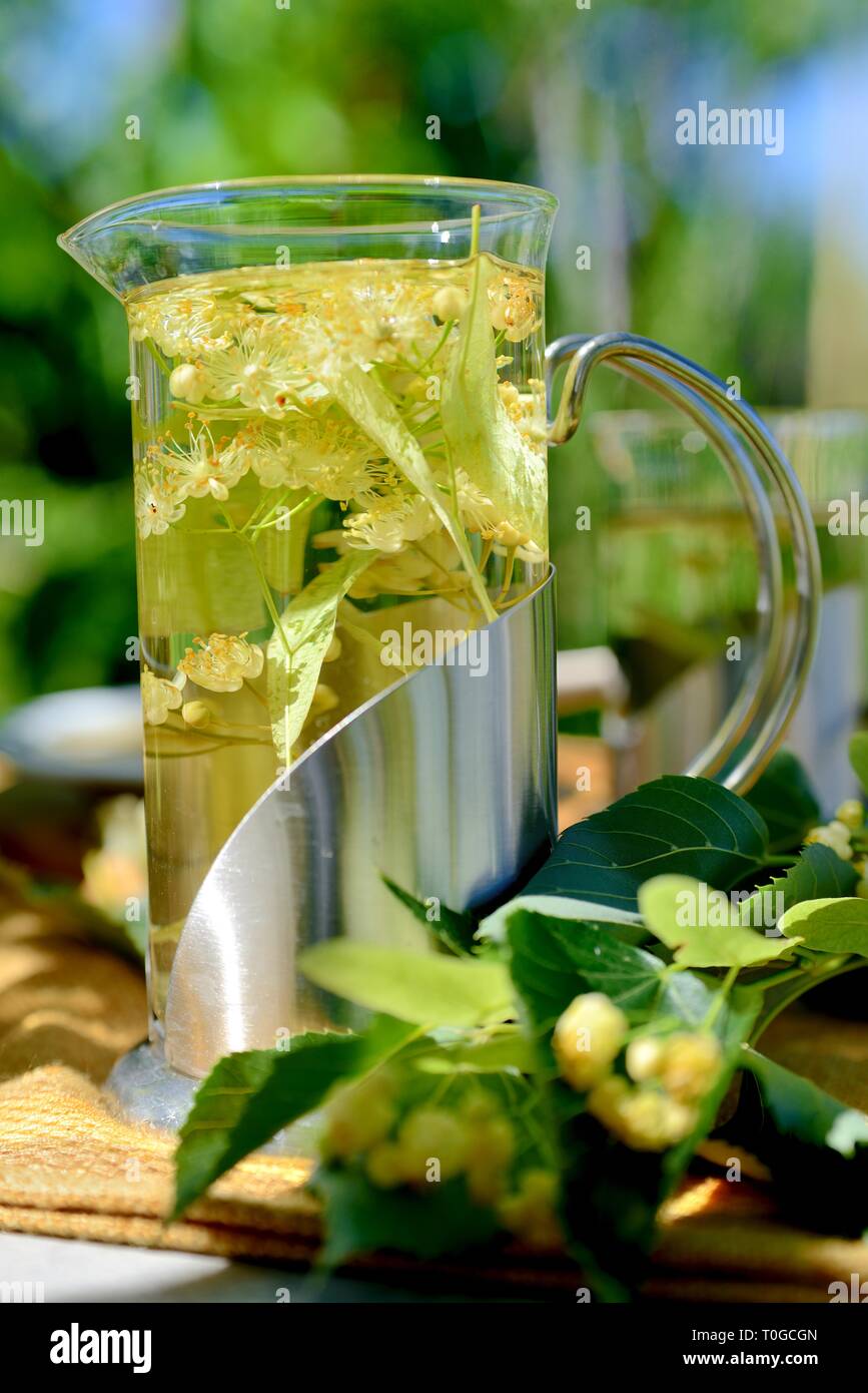 Kräutertee mit Linden Blumen. Stockfoto