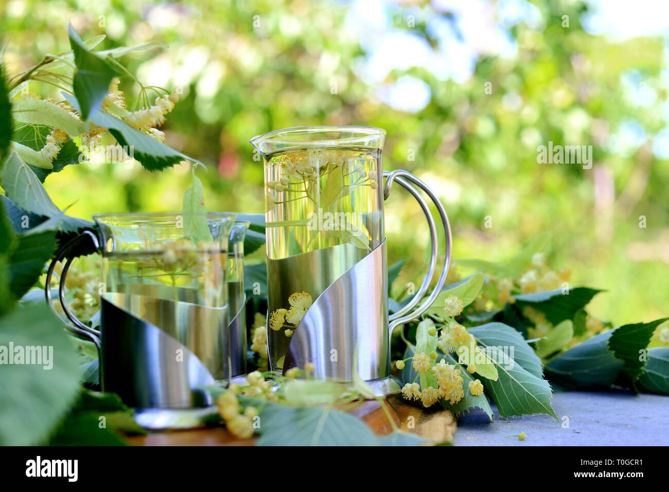 Kräutertee mit Linden Blumen. Stockfoto