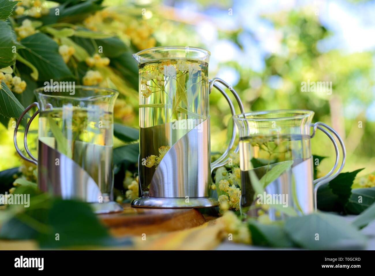 Kräutertee mit Linden Blumen. Stockfoto