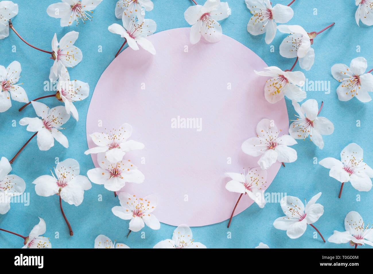 Spring Blossom mit einer leeren Nachricht Stockfoto