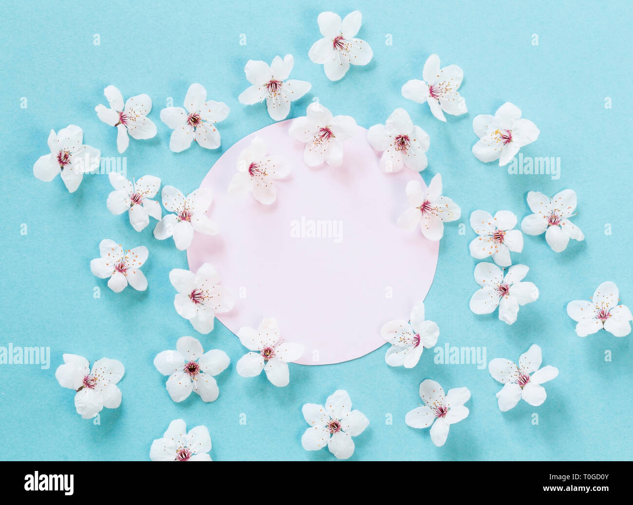 Spring Blossom mit einer leeren Nachricht Stockfoto