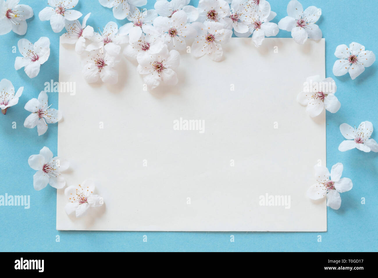 Spring Blossom mit einer leeren Nachricht Stockfoto