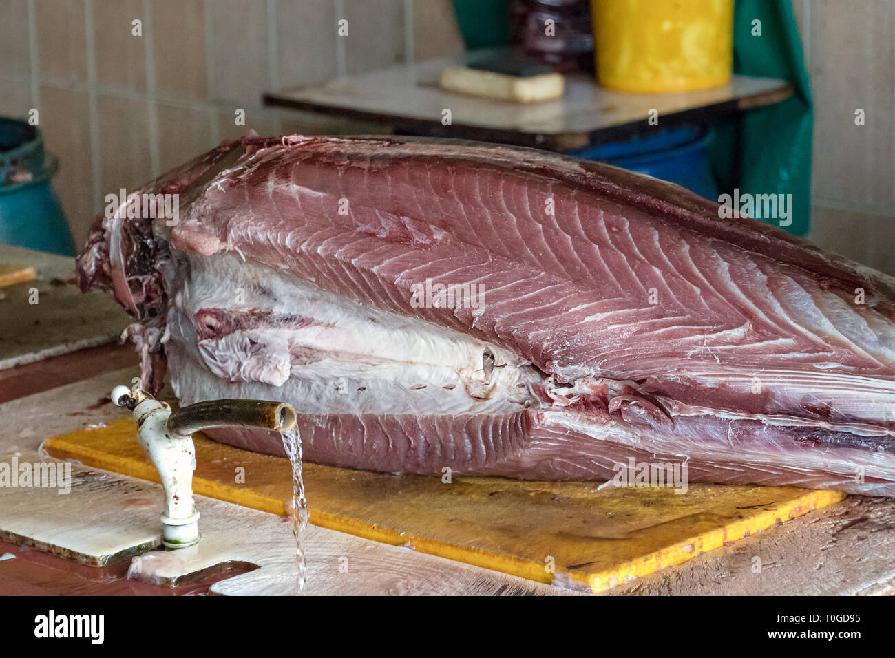 Eine Reihe großer Thunfisch auf dem Schneidetisch Der Fischmarkt in Male, Malediven. Stockfoto