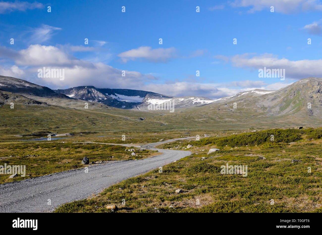 Norwegische fjaeldmark im Jotunheimen Nationalpark Stockfoto