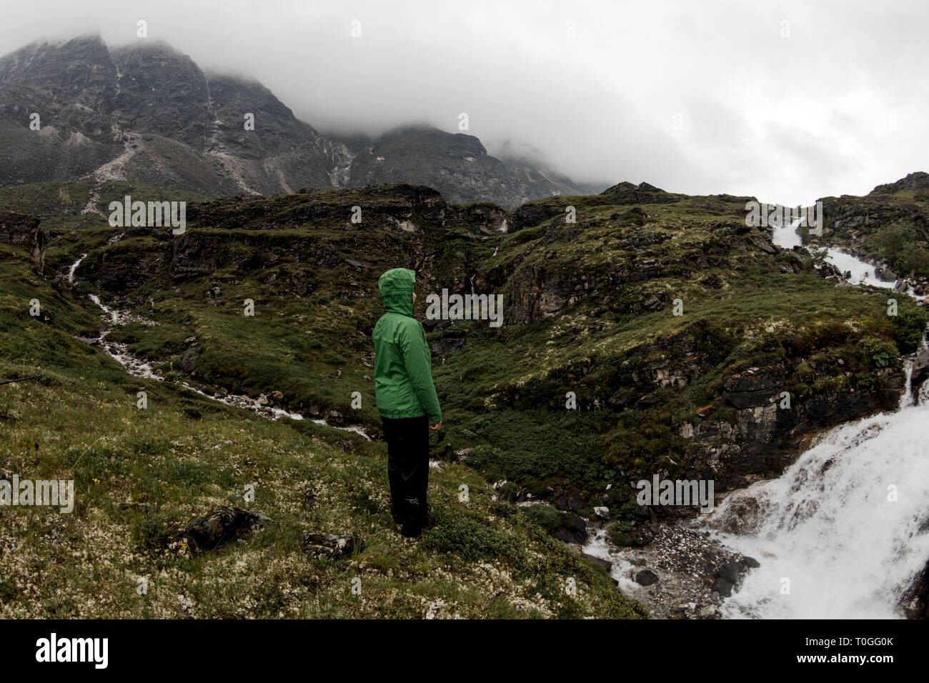 Frau von Touristen an der Mountain River an einem nebligen Sommertag in der Regen Stockfoto