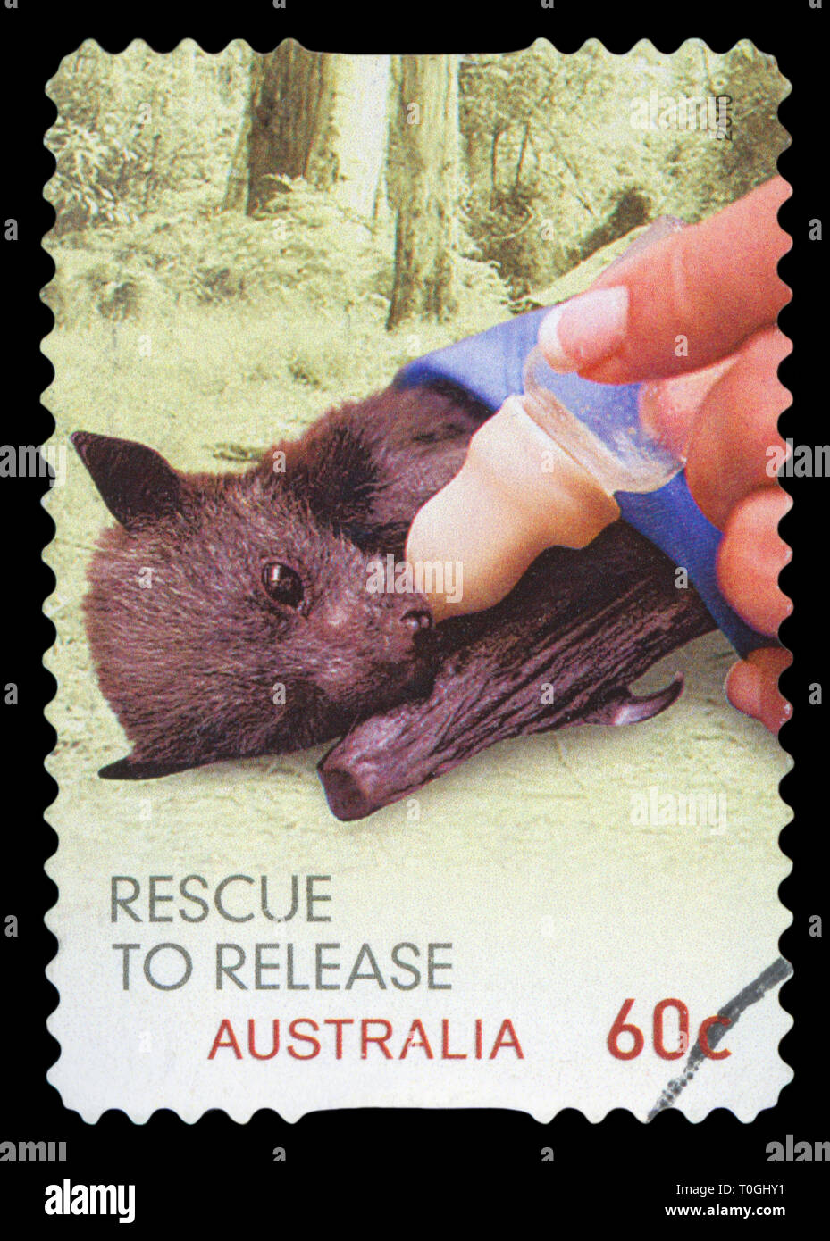 Australien - ca. 2010: einen Stempel in Australien gedruckten zeigt ein Koala Rettung zu lösen, circa 2010. Stockfoto