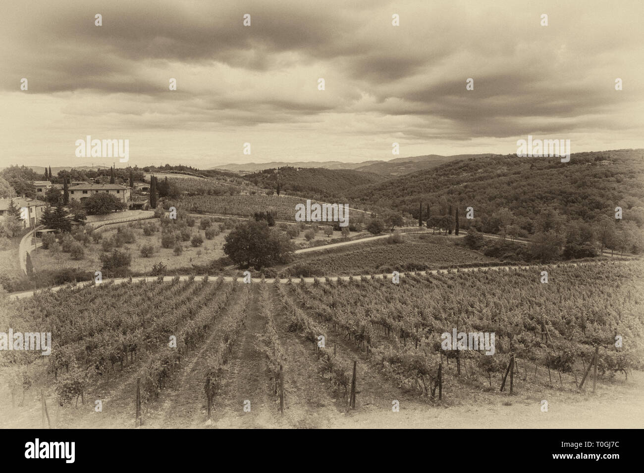 Ein Weingut in der Toskana, Italien. Stockfoto