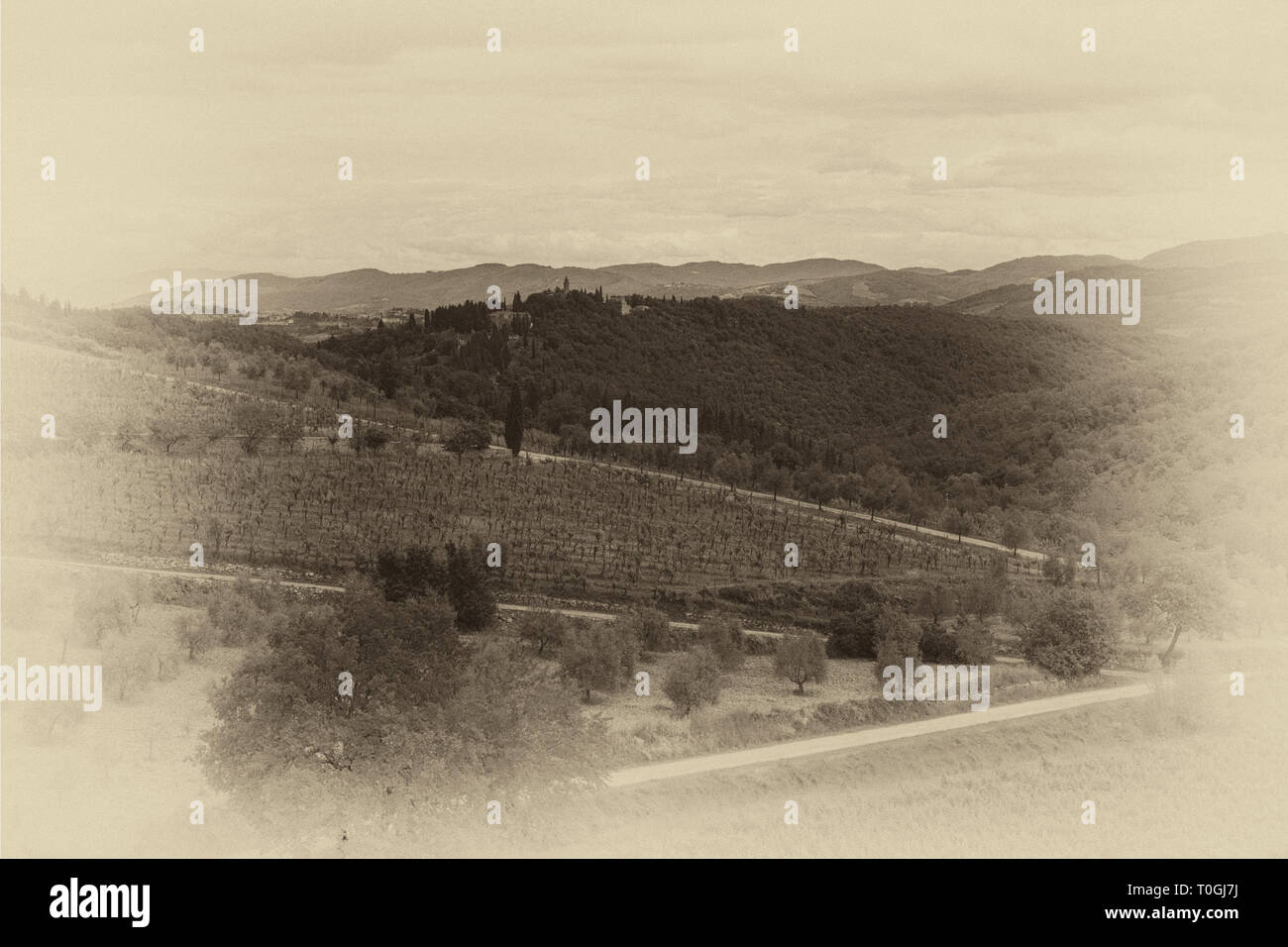 Ein Weingut in der Toskana, Italien. Stockfoto