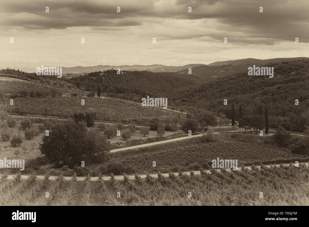 Ein Weingut in der Toskana, Italien. Stockfoto