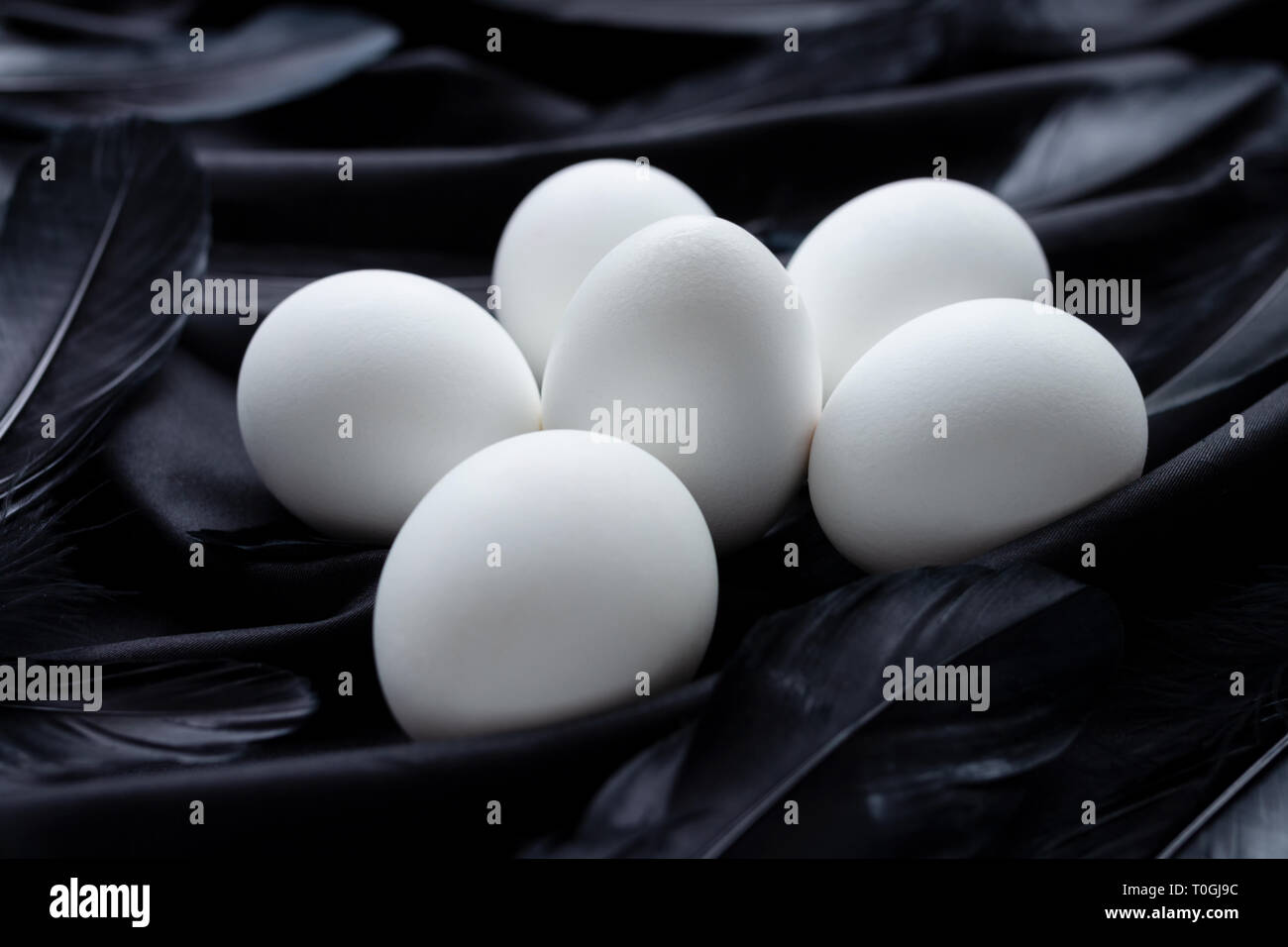 Gruppe von Weißen Ostereier und schwarzen Federn auf einer schwarzen seidig Hintergrund Stockfoto