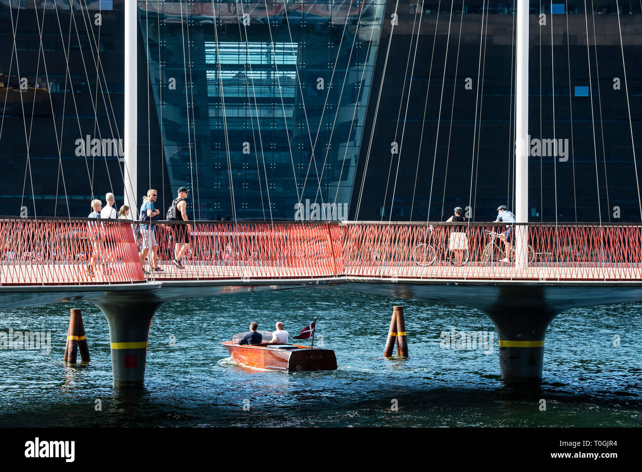 Dänemark, Kopenhagen, Cirkelbroen der Kreis Brücke und Black Diamond Gebäude Stockfoto