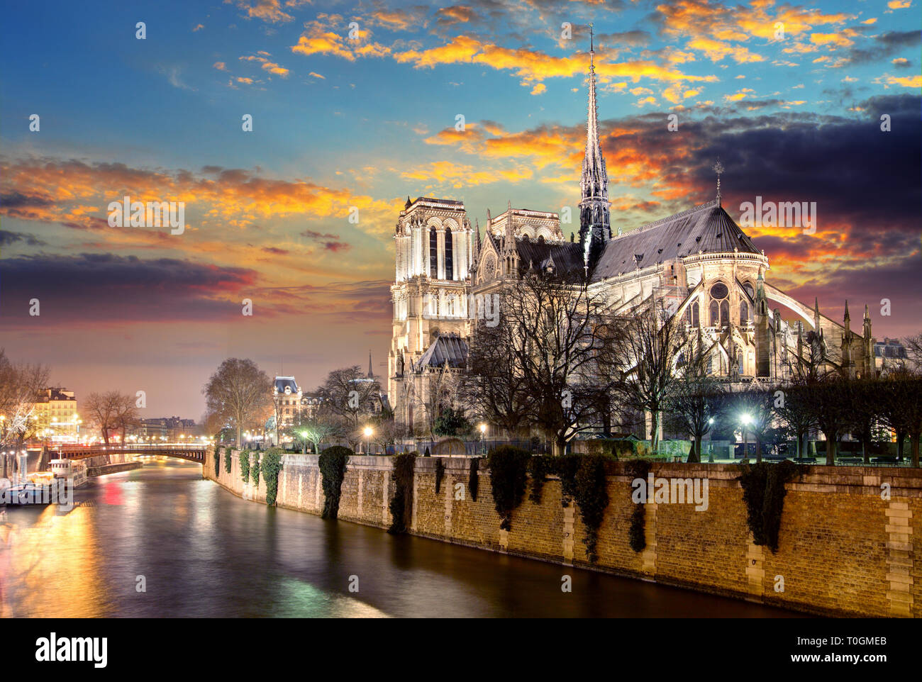 Insel Cite mit Kathedrale Notre-Dame de Paris Stockfoto