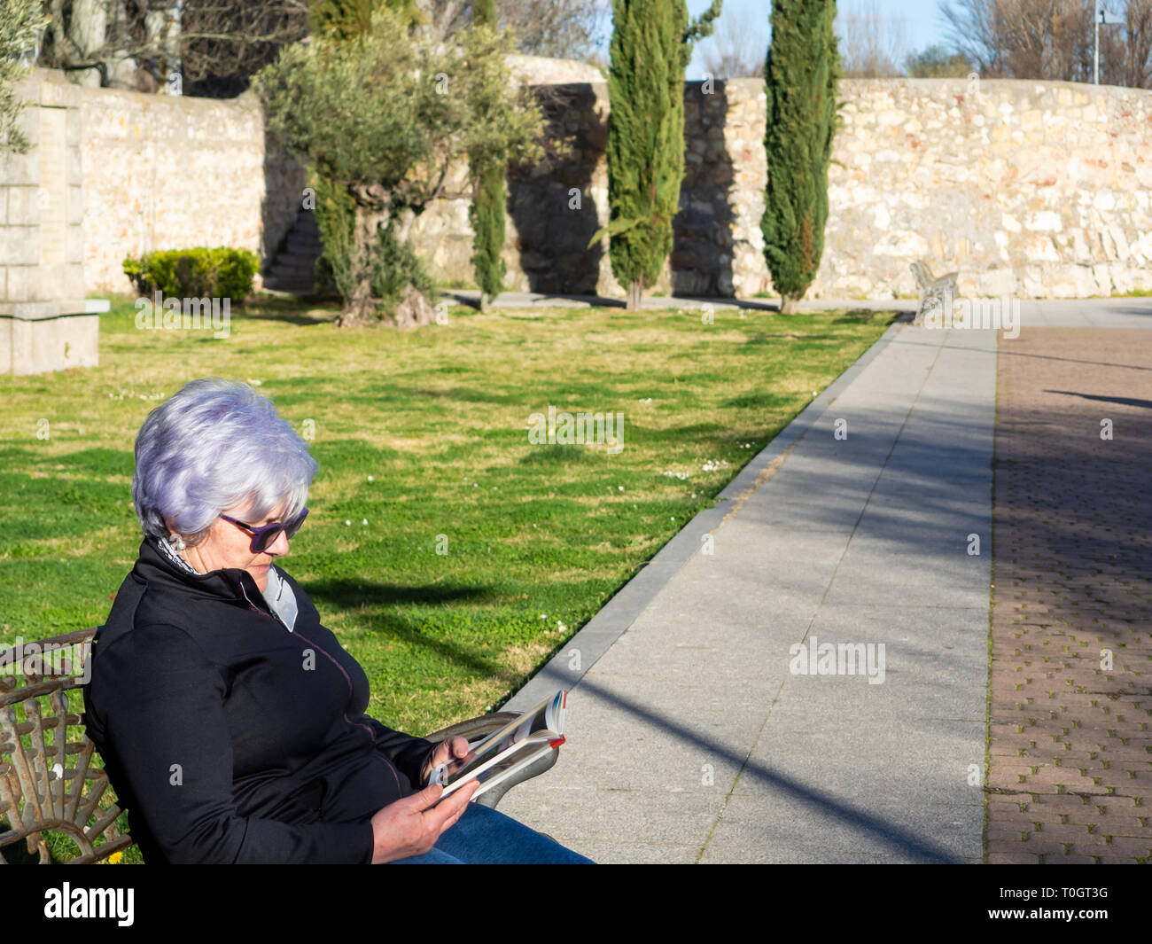 Eine ältere Frau mit weißen Haaren auf einer Parkbank ein Buch lesen Stockfoto