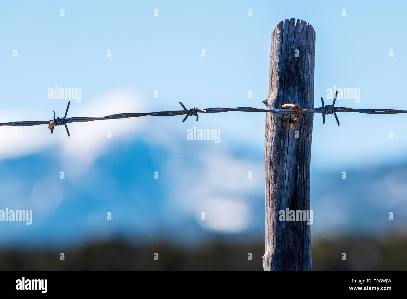 In der Nähe von Stacheldraht zaun & Holzzaun Post; Ranch in Colorado, USA Stockfoto