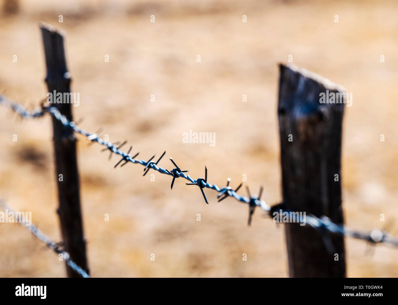 In der Nähe von Stacheldraht zaun & Holzzaun Post; Ranch in Colorado, USA Stockfoto
