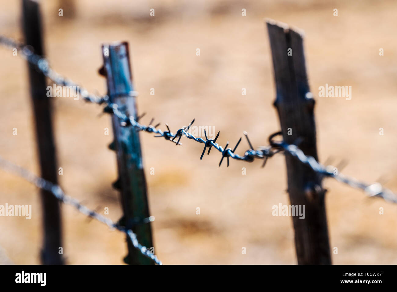 In der Nähe von Stacheldraht zaun & Holzzaun Post; Ranch in Colorado, USA Stockfoto