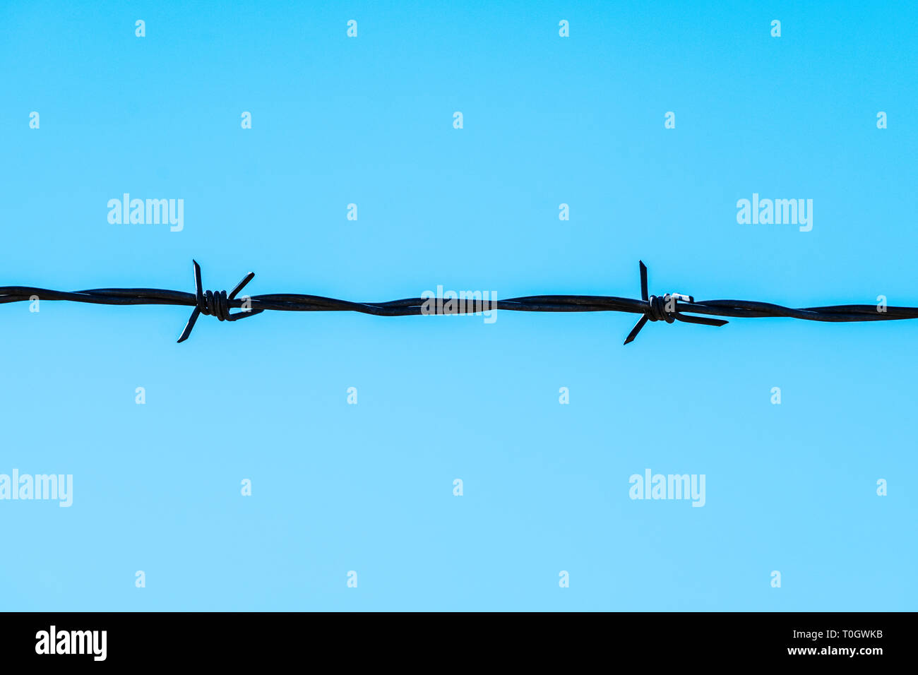 Nahaufnahme der Stacheldrahtzaun; Ranch in Colorado, USA Stockfoto