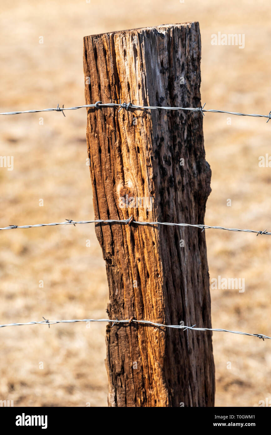 In der Nähe von Stacheldraht zaun & Holzzaun Post; Ranch in Colorado, USA Stockfoto