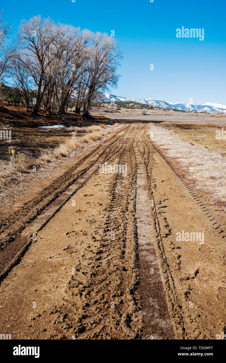 Schlammigen Spuren auf einer Ranch dirt road; Colorado; USA Stockfoto