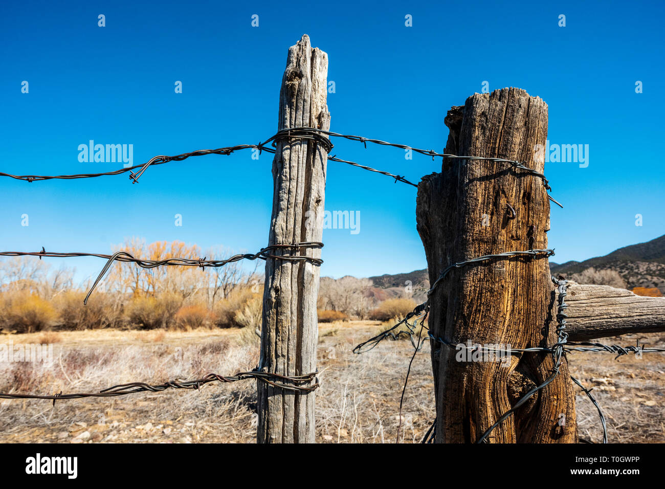 In der Nähe von Stacheldraht zaun & Holzzaun Post; Ranch in Colorado, USA Stockfoto